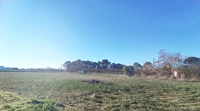 Ciudad Real - Ciudad Real - 10000m2