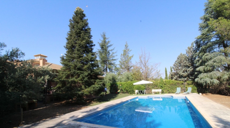 Ciudad Real - Ciudad Real - 5500m2