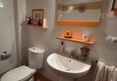 Semi-detached house with land for sale in Ciudad Real ref: TR365521 photo