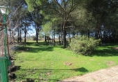 Xalet independent amb terreny en venda a Ciudad Real ref.: TR383582 foto