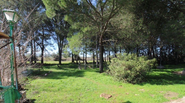 Ciudad Real - Ciudad Real - 7240m2