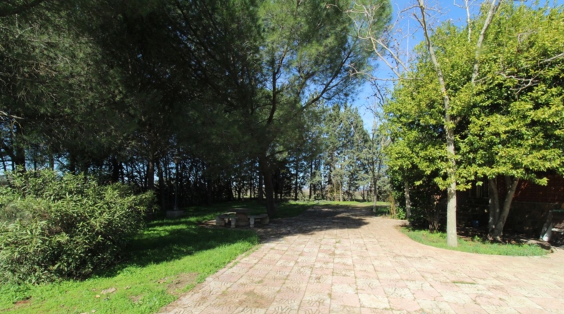 Ciudad Real - Ciudad Real - 7240m2