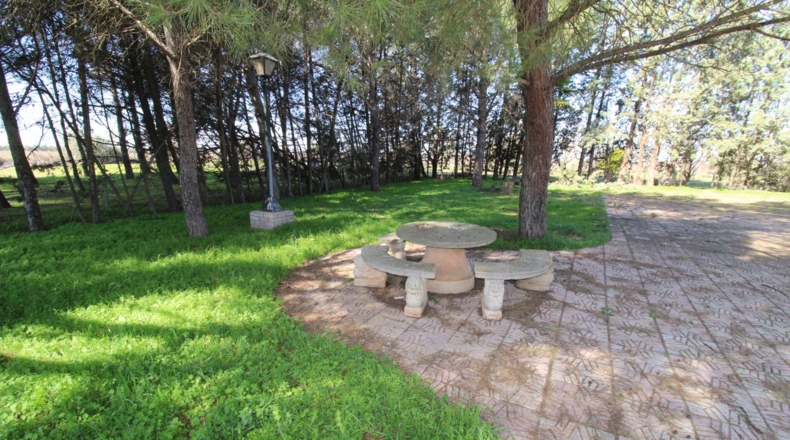 Ciudad Real - Ciudad Real - 7240m2