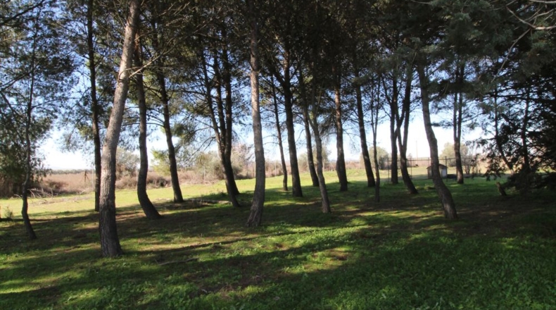 Ciudad Real - Ciudad Real - 7240m2