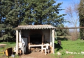 Xalet independent amb terreny en venda a Ciudad Real ref.: TR383582 foto