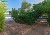 Country house with land for sale in Torrenueva ref: TR12698 photo