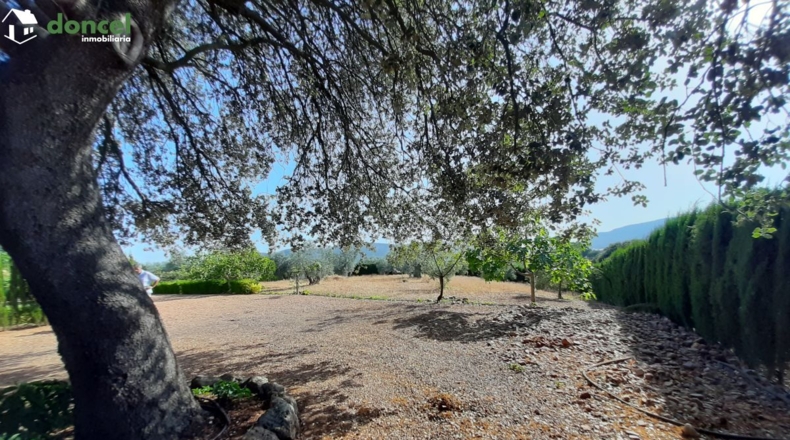 Ciudad Real - Piedrabuena - 240m2