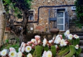 Casa de camp amb terreny en venda a l'Ametlla del Vallès ref.: TR185256 foto
