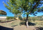 Casa de camp amb terreny en venda a l'Ametlla del Vallès ref.: TR185256 foto