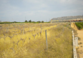 Terreny no urbanitzable en venda a Montfort ref.: TR15628 foto