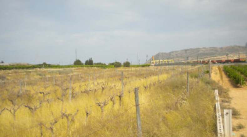 Alicante - Monforte del Cid - 10621m2
