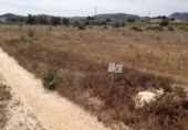Terreno no urbanizable en venta en Aspe ref: TR11798 foto