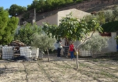 Terreno no urbanizable en venta en Aspe ref: TR48163 foto