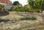 Terreno no urbanizable en venta en Aspe ref: TR48163 foto