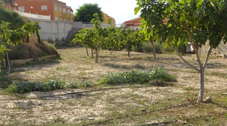 Alicante - Aspe - 2258m2