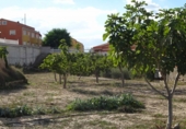 Terreno no urbanizable en venta en Aspe ref: TR48163 foto