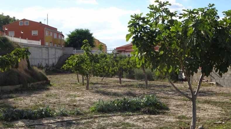 Alicante - Aspe - 2258m2