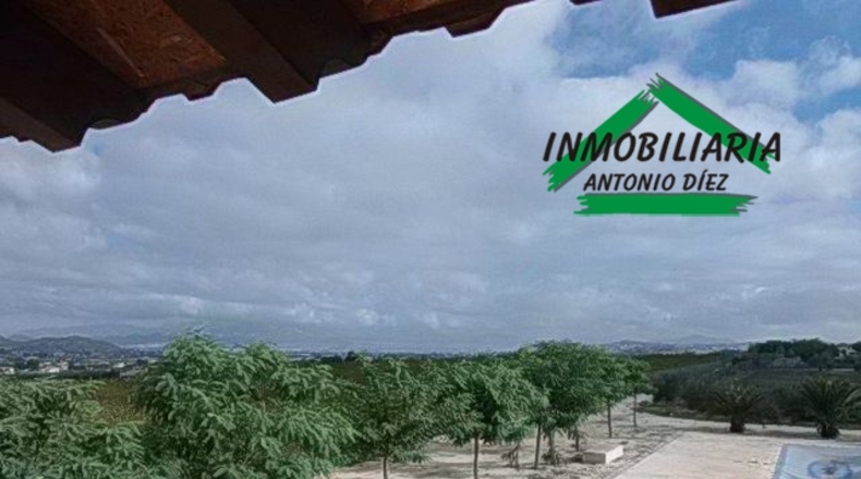 Alicante - Aspe - 10000m2