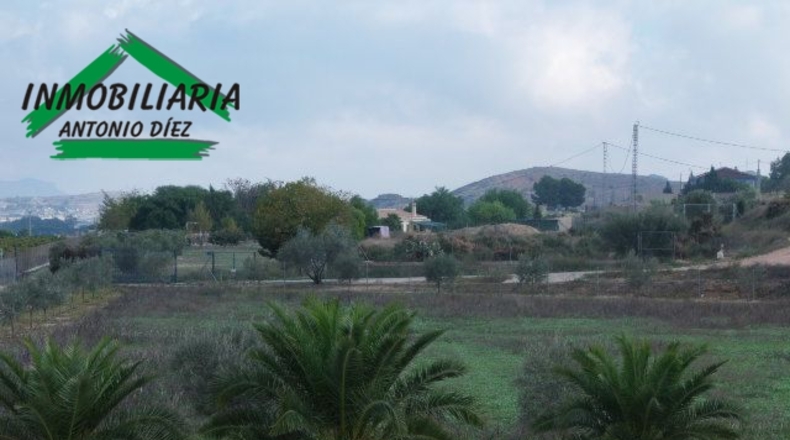 Alicante - Aspe - 10000m2
