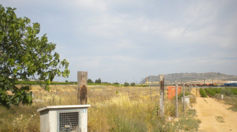 Alicante - Monforte del Cid - 10900m2
