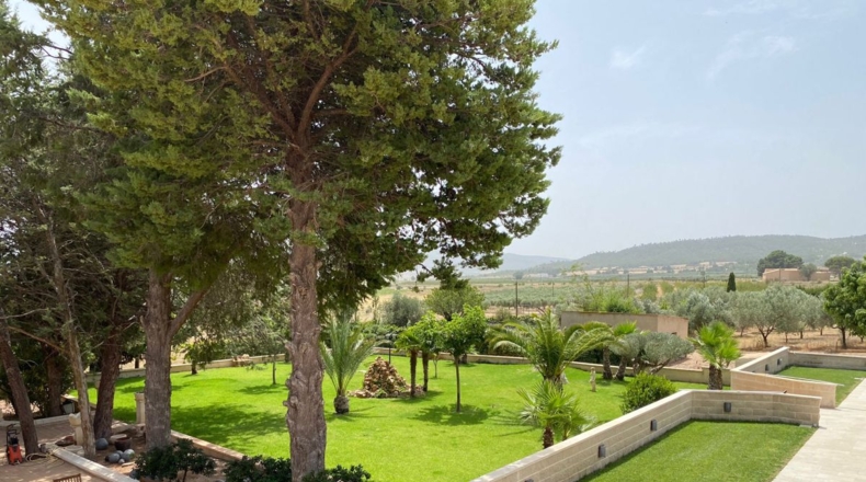 Alicante - Salinas - 9476m2