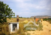 Terreno no urbanizable en venta en la España, Monforte del Cid, ref: TR99334 foto