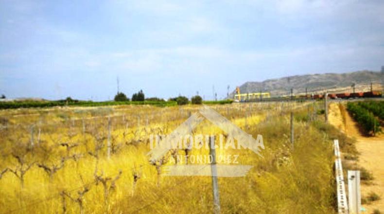 Alicante - Monforte del Cid - 10918m2
