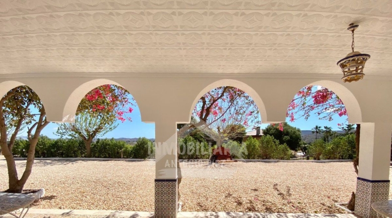 Alicante - Aspe - 2000m2