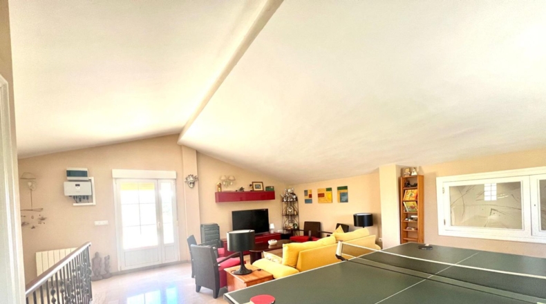 Alicante - Monóvar - 13000m2