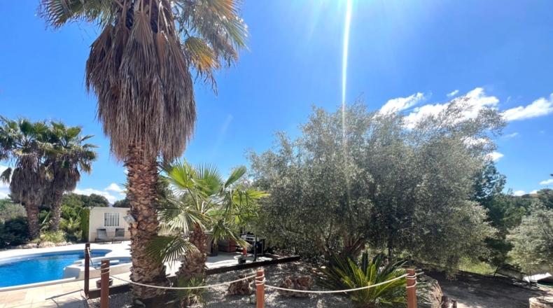 Alicante - Monóvar - 13000m2