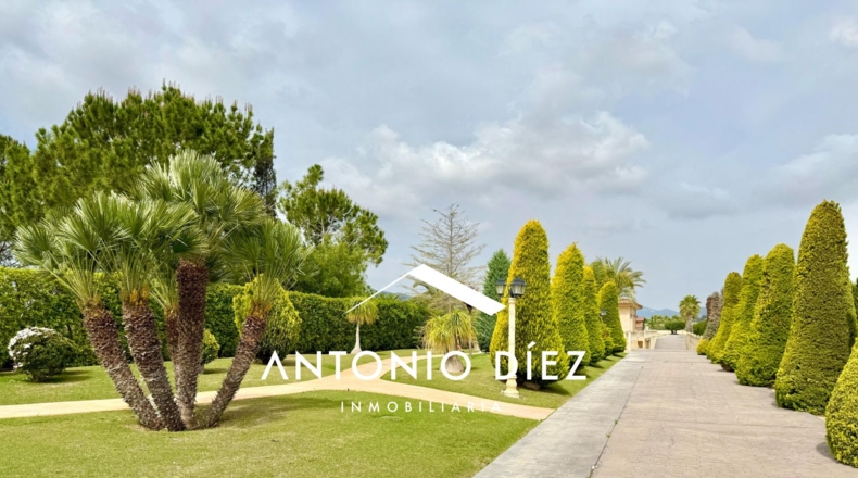 Alicante - Aspe - 501m2