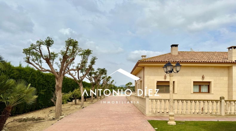 Alicante - Aspe - 501m2