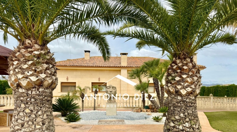 Alicante - Aspe - 501m2