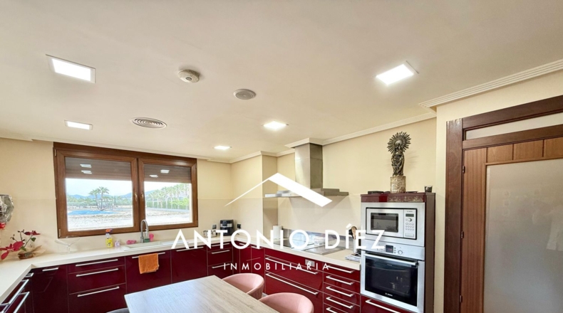 Alicante - Aspe - 501m2