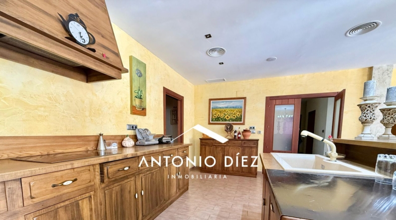 Alicante - Aspe - 501m2