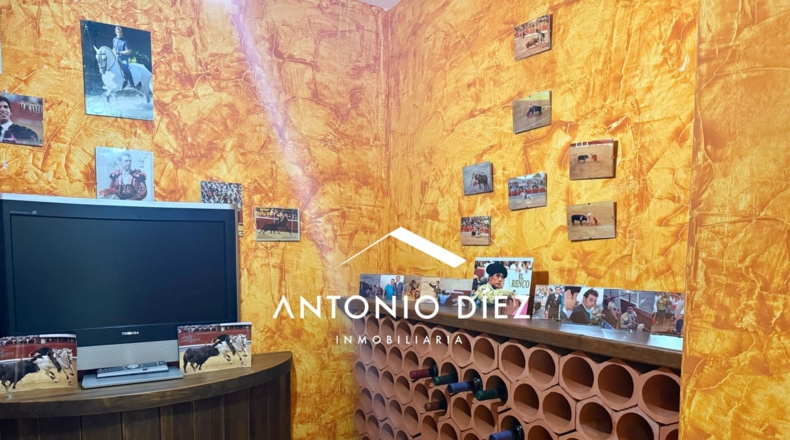Alicante - Aspe - 501m2