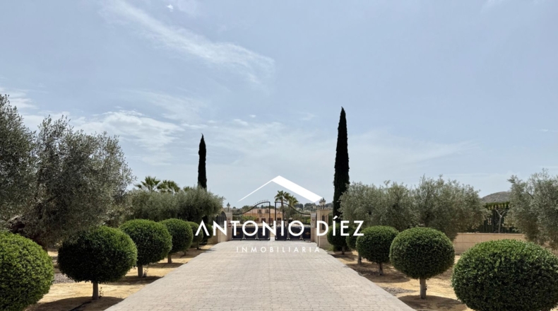 Alicante - Aspe - 501m2