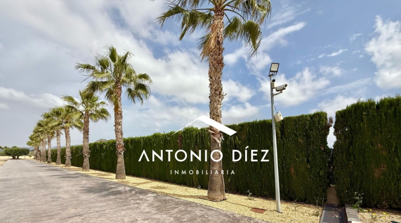 Alicante - Aspe - 501m2