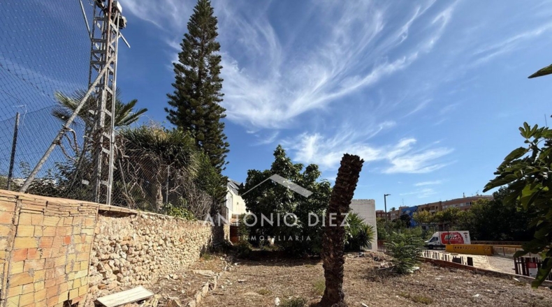 Alicante - Aspe - 418m2