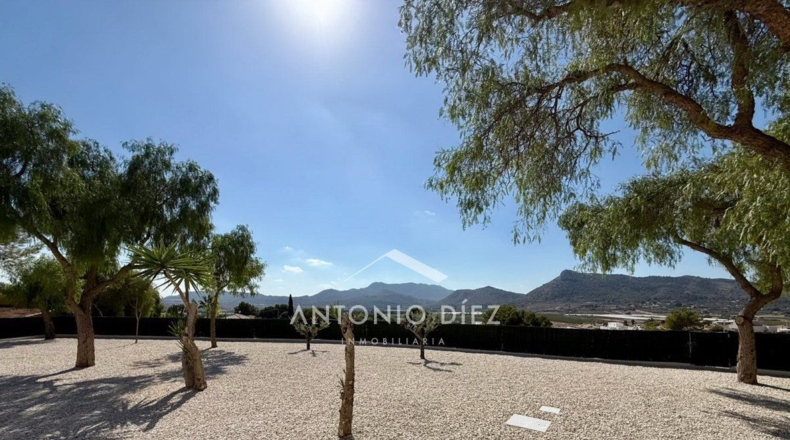 Alicante - Aspe - 3171m2