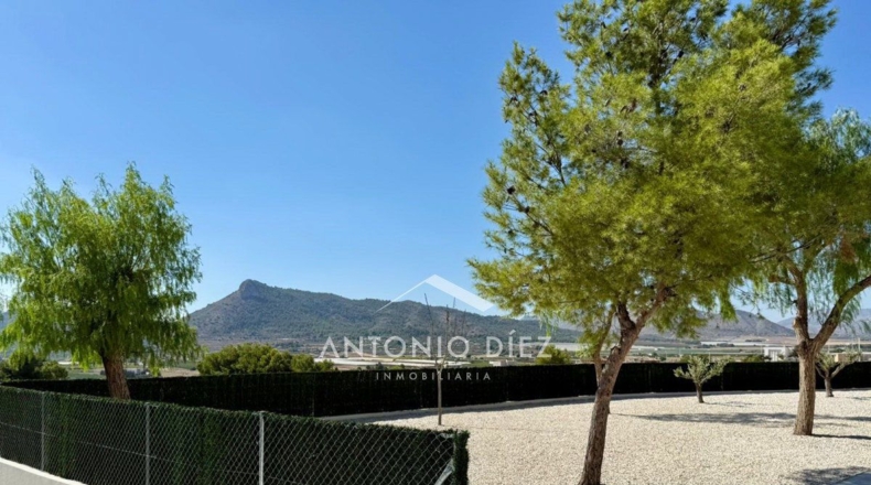 Alicante - Aspe - 3171m2