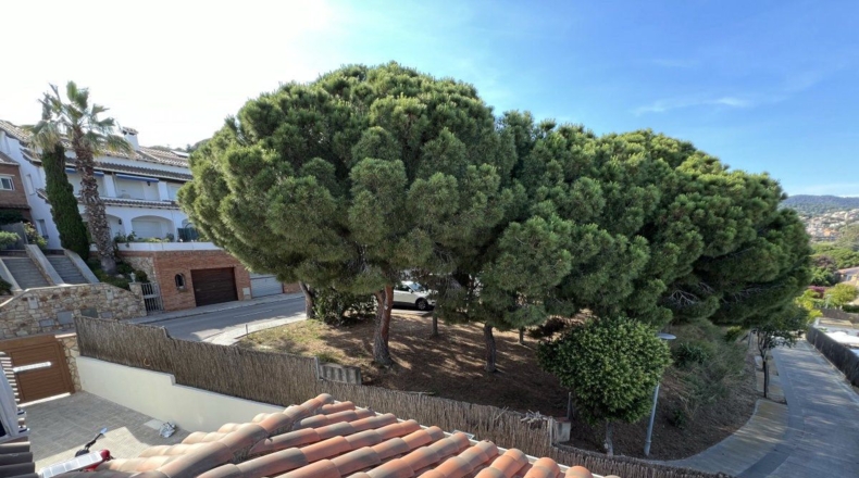 Barcelona - Premià de Dalt - 364m2