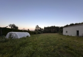 Finca rústica en venda a San Vicenzo ref.: TR187989 foto
