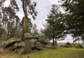 Sòl urbà en venda a Negreira ref.: TR106285 foto