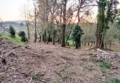 Sòl urbà en venda a Vilar ref.: TR106283 foto