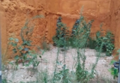 Sòl urbà en venda a la España, Ulldecona, ref.: TR11820 foto