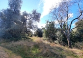 Земля на продажу у города Ulldecona Фото