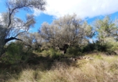 Земля на продажу у города Ulldecona Фото