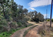 Земля на продажу у города Ulldecona Фото
