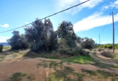 Земля на продажу у города Ulldecona Фото